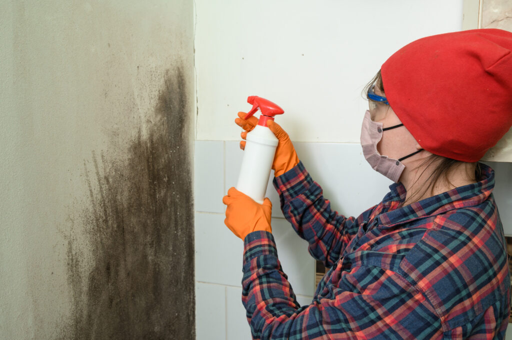 Tips for Dealing with Mold Remediation in Memphis, TN